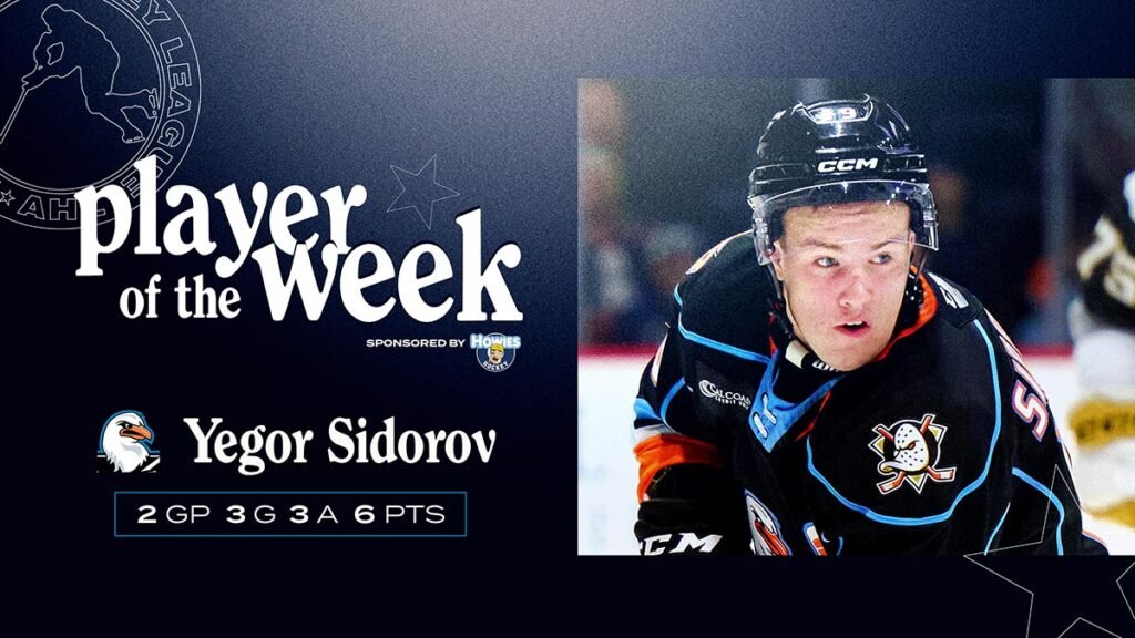 Gulls’ Sidorov named AHL Player of the Week | TheAHL.com