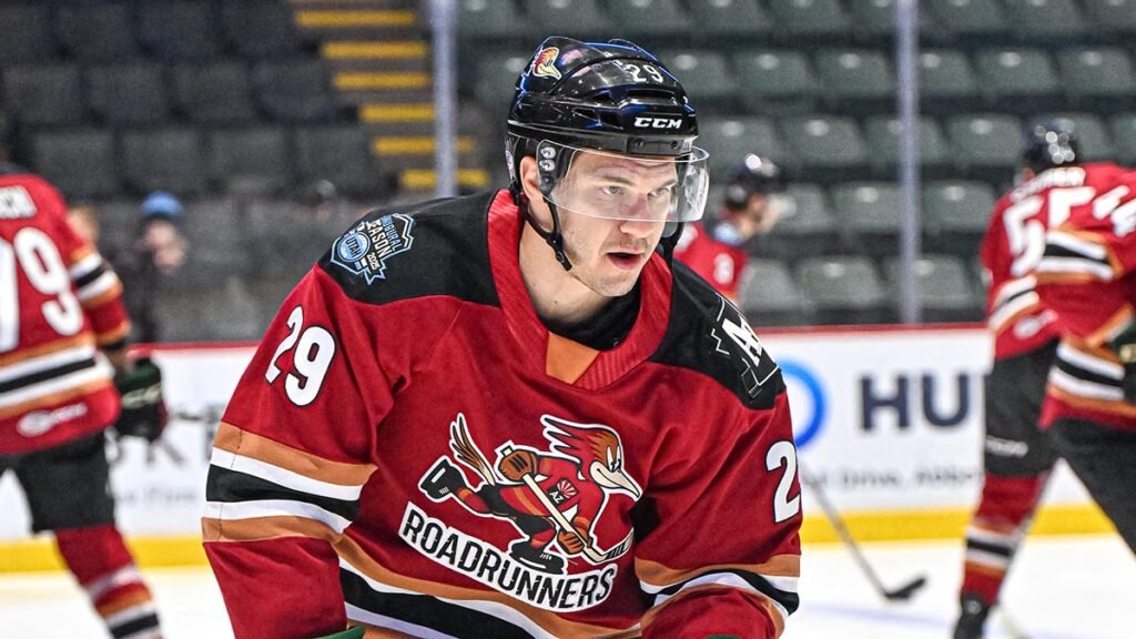 Agozzino brings reliable leadership to Roadrunners | TheAHL.com