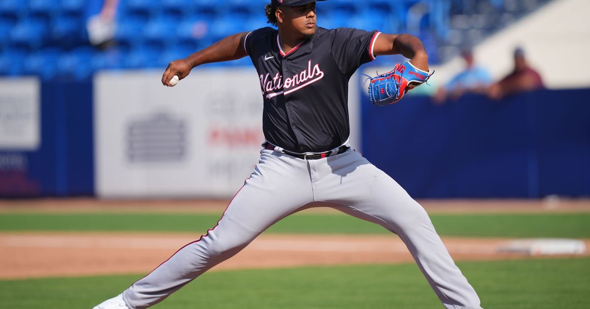 Nationals prospects: Jarlin Susana has some of the best stuff in the minor leagues