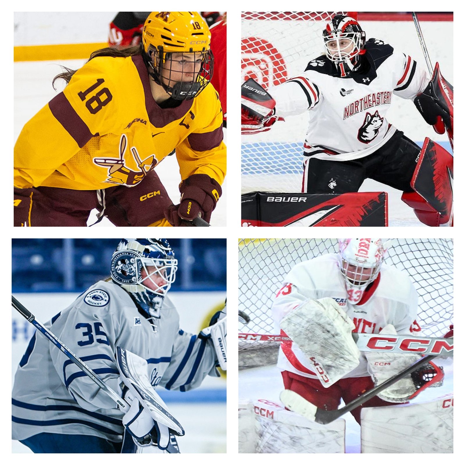 Minnesota's Murphy, Northeastern's Jönsson, Penn State's DeSa, Cornell's Bergmann collect Jan. 2025 monthly awards from Hockey Commissioners Association - College Hockey