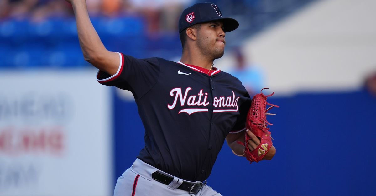 Nationals prospects: After a long road, Andry Lara is back on track