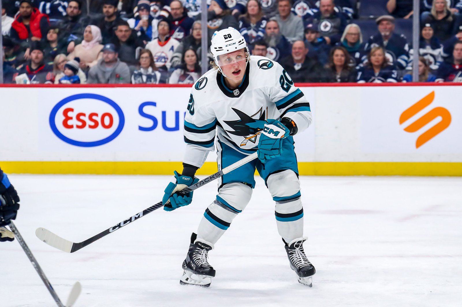 Zetterlund the Hero in Sharks' 3-2 Shootout Win Over Maple Leafs - The Hockey Writers - San Jose Sharks