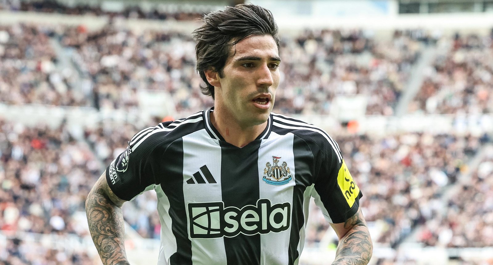 Sandro Tonali makes his feelings very clear