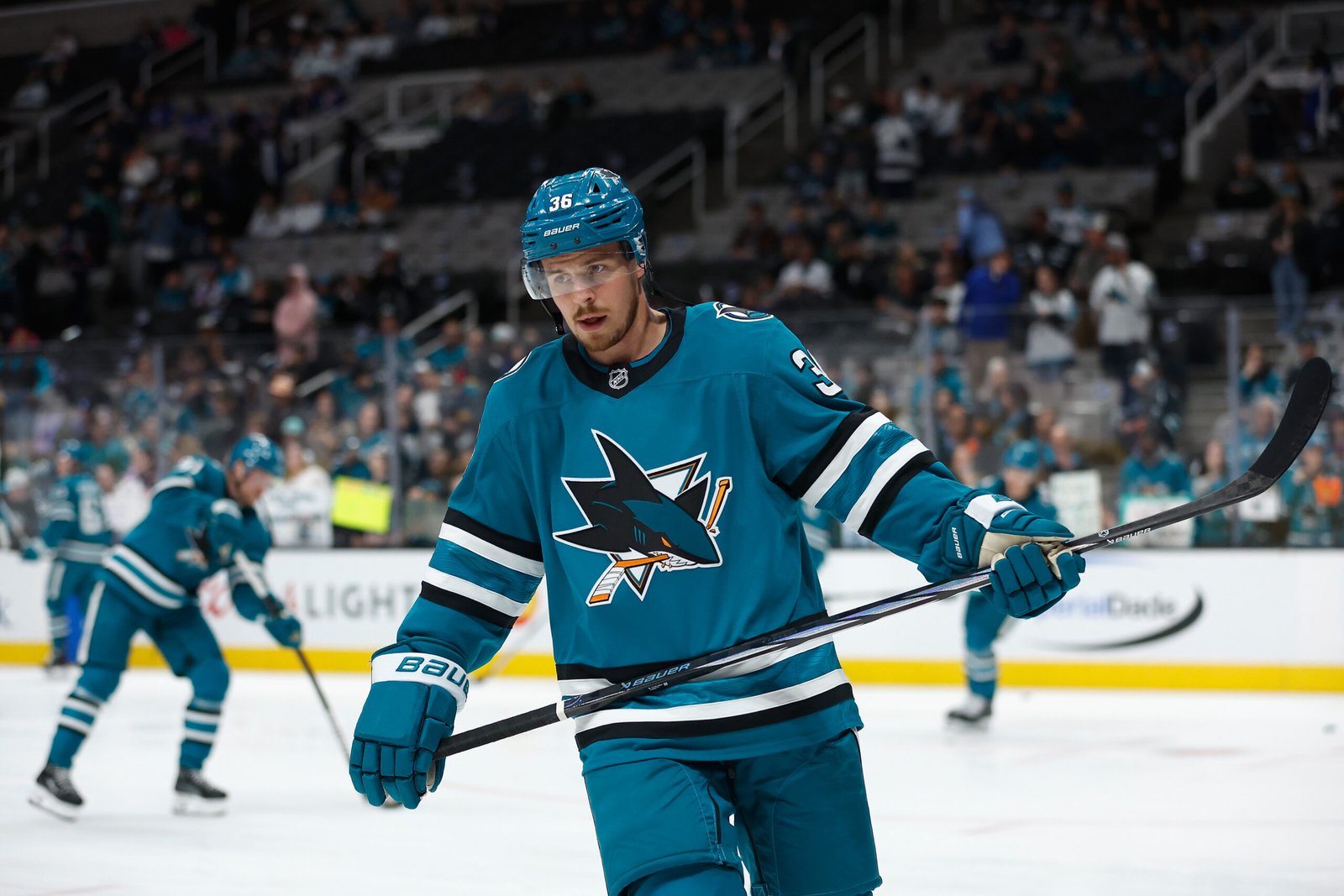 San Jose Sharks' Lucas Carlsson Trying to Prove His NHL Worth - The Hockey Writers - San Jose Sharks