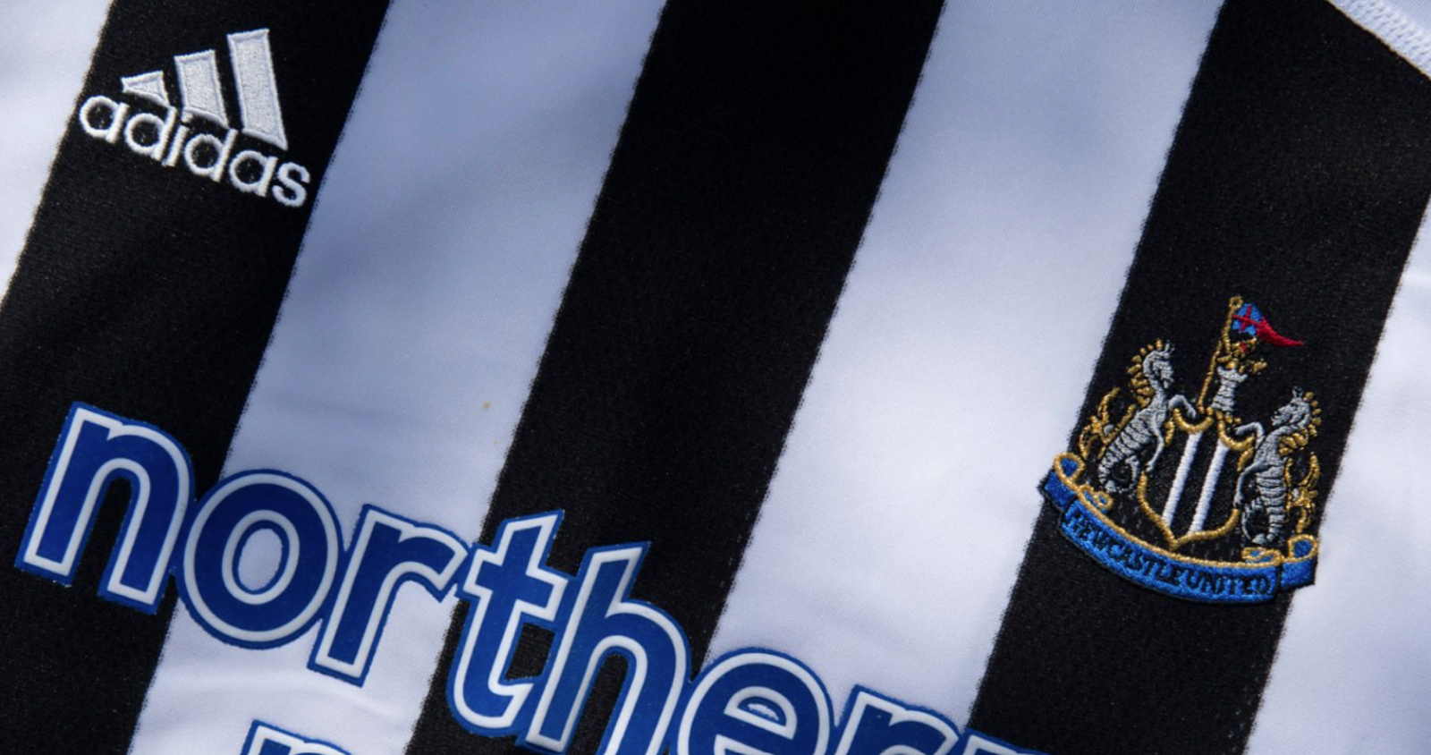 Former Newcastle star lands head coach job in new international role