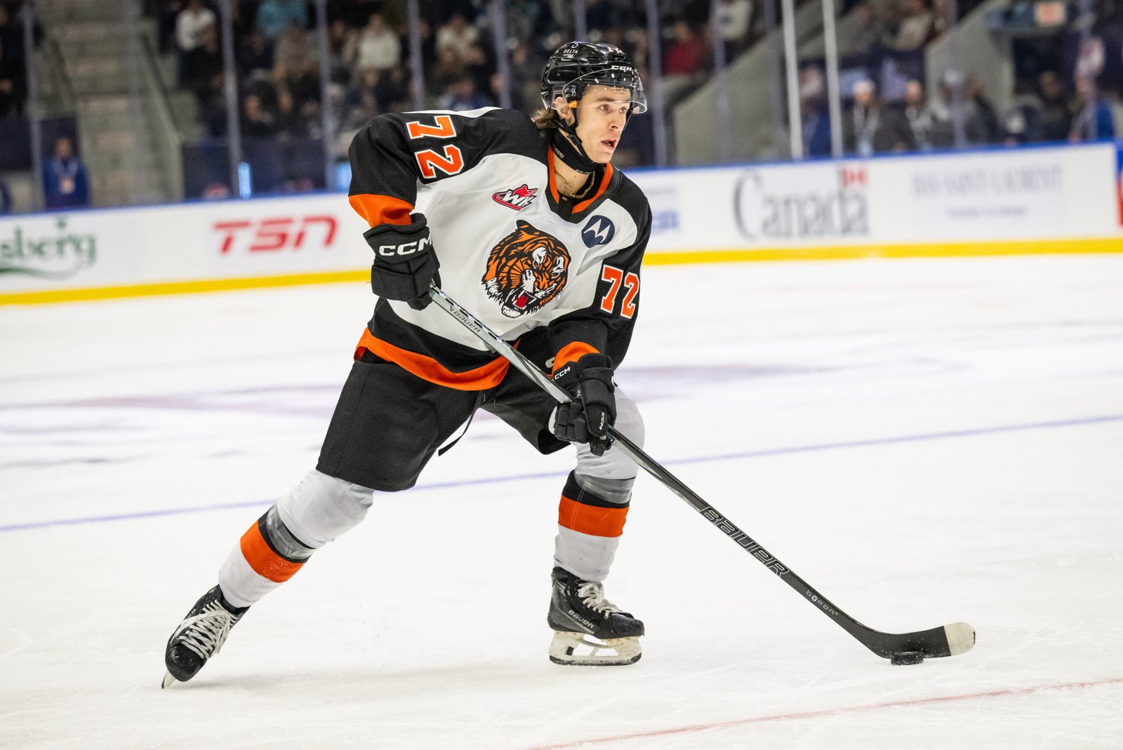 Success of CHL-to-NCAA Pipeline Hinges on Gavin McKenna - The Hockey Writers - NHL Entry Draft