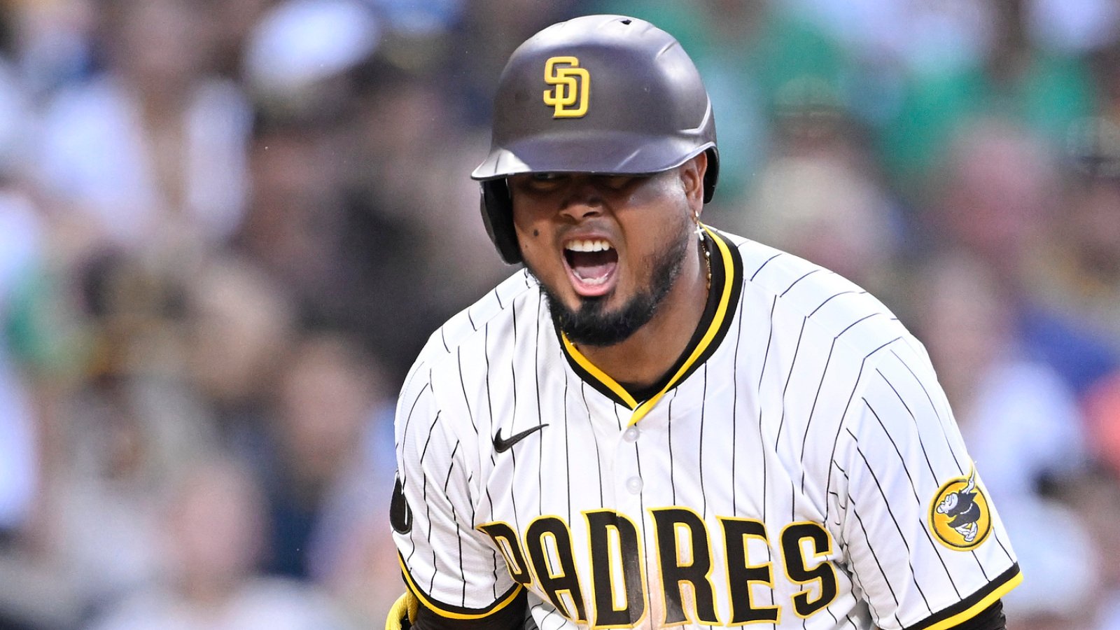 Former batting champion hopes mid-game pushups maintain power