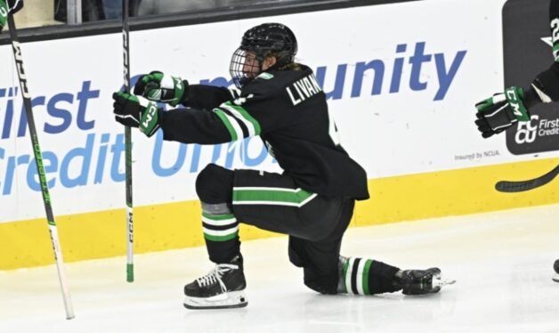 NCHC announces six-member preseason all-conference team ahead of 2025-26 season - College Hockey