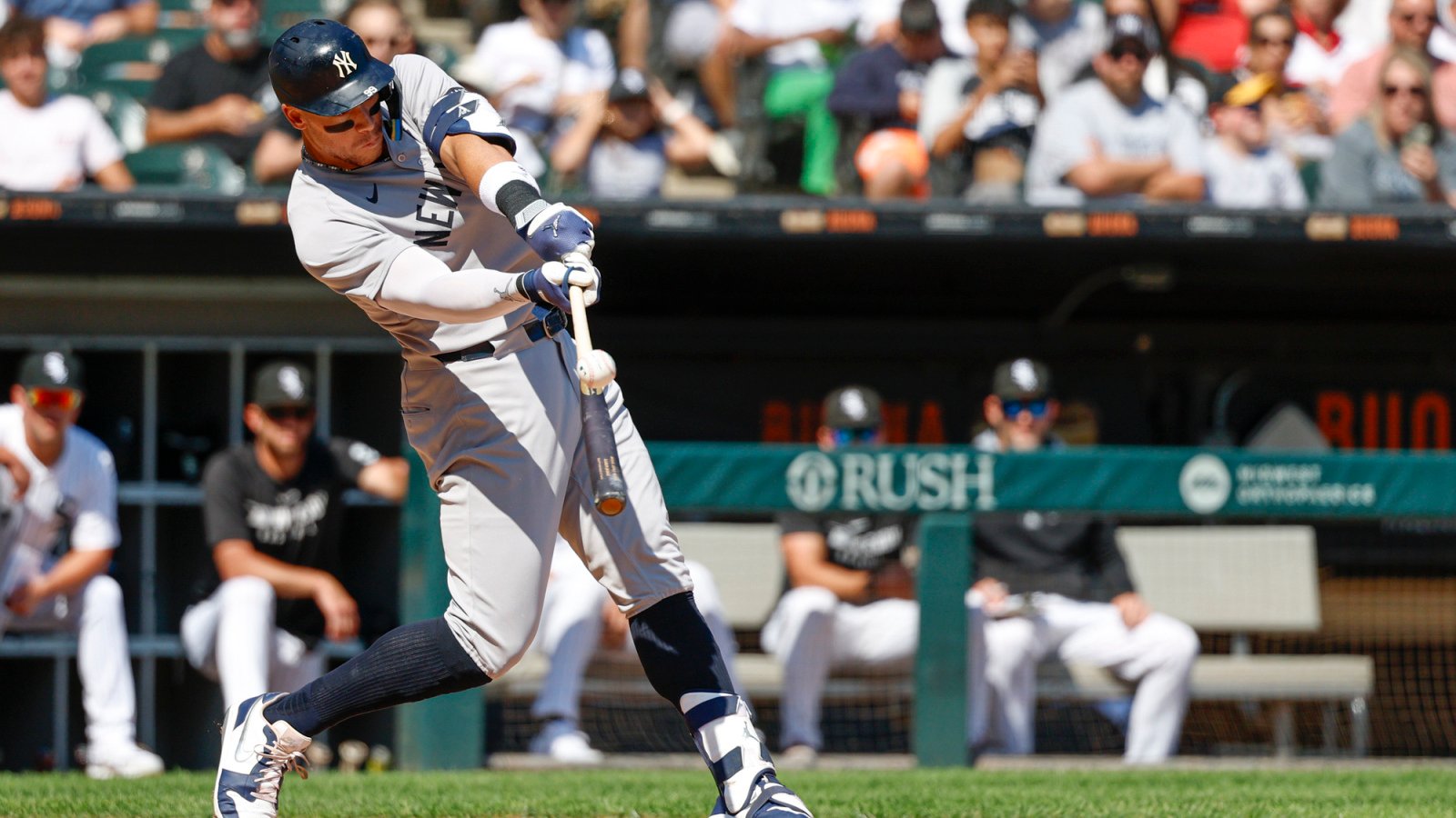 Picking each MLB team's MVP