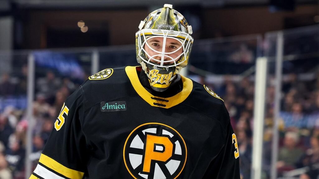 Hurricanes claim Bussi off waivers | TheAHL.com