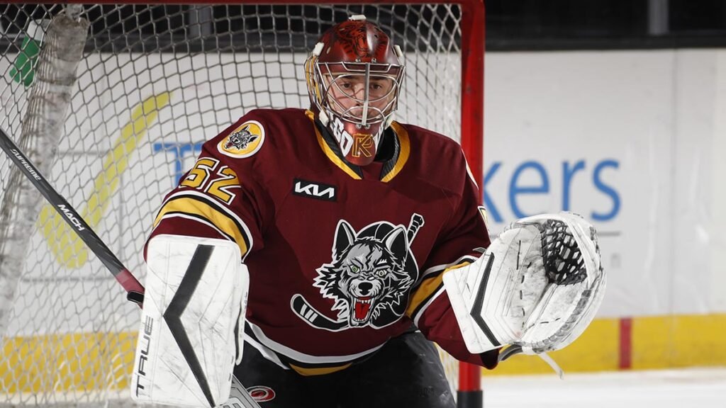 Kochetkov joins Wolves for conditioning stint | TheAHL.com